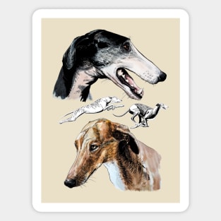 Greyhound Magnet
